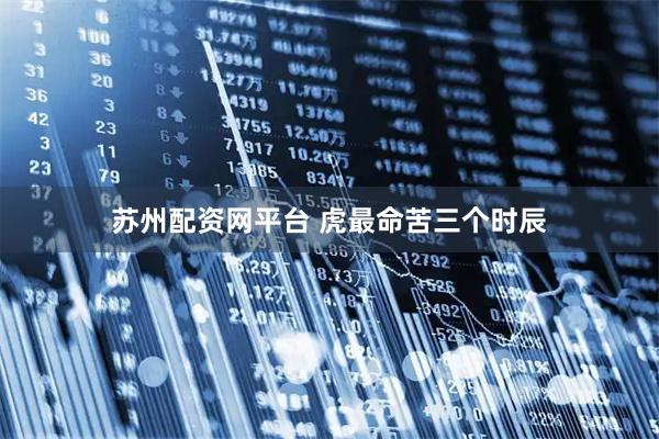 苏州配资网平台 虎最命苦三个时辰